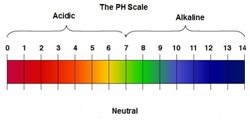 the-ph-scale-acidic-alkaline